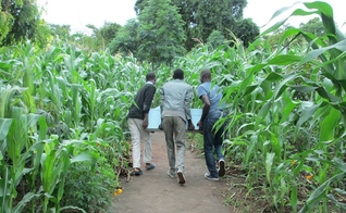 Biofiltros doados em Uganda