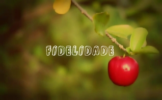 (Foto: Reprodução)