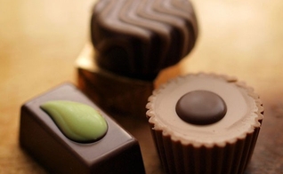 Teste mostrou que chocolate e sorvete eram aimentos bons para Ashan. (Foto: AmaWaterways/Divulgação)