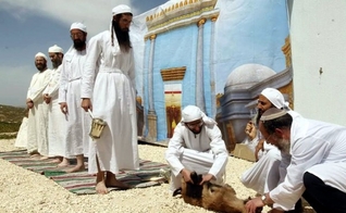 O Instituto do Templo estabeleceu uma agência de treinamento sacerdotal. (Foto: Reprodução/Temple Institute)