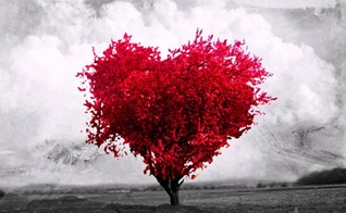 Árvore em formato de coração. (Foto: Facebook)