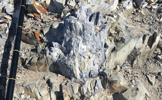 Árvores fossilizadas foram encontradas nos Montes Transantárticos da Antártica. (Foto: Copyright © 2017/ E. Gulbranson)