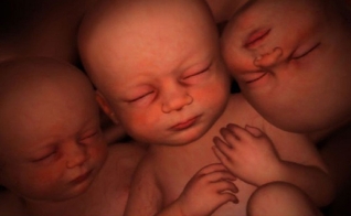 Imagem ilustra gêmeos no útero. (Imagem: God Reports)