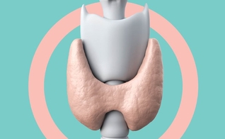 A tireoide ajuda a ditar o ritmo de funcionamento de todo o corpo.  (Foto: Jonatan Sarmento/Saúde é Vital)