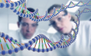 As descobertas colocam em cheque os padrões de evolução aceitos pela ciência. (Foto: Reprodução).