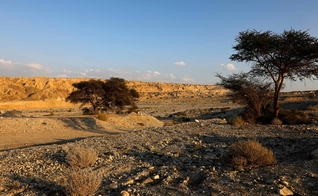 Imagem do lado de fora da caverna Malham no Monte Sodoma, em Israel. (Foto: AFP)