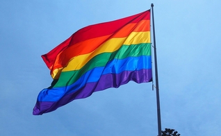 Bandeira usada como símbolo do movimento LGBT. (Foto: Nippon)