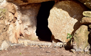 (Foto: Fr. Daniel Ciucc/Unsplash)