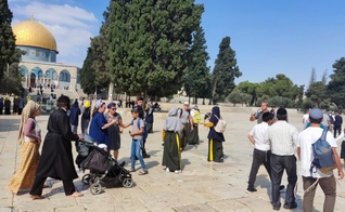 Visitantes no Monte do Templo vestindo roupas amarelas que os diferenciam dos muçulmanos. (Foto: Beyadenu/Israel365 News)
