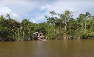 Ilha do Marajó ficou conhecido pelo tráfico humano e abuso sexual de crianças. (Captura de tela: YouTube/Domingo Espetacular)