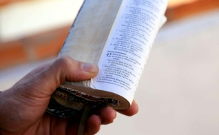 (Foto: Unsplash/Agelesspix)