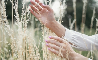 (Foto: Unsplash/Taisiia Stupak)