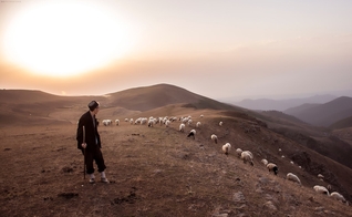 (Foto: Unsplash/Peyman Toodari)