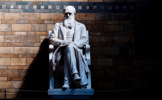 Estátua de Charles Darwin no Museu de História Natural de Londres. (Foto: CGP Grey/Flickr)
