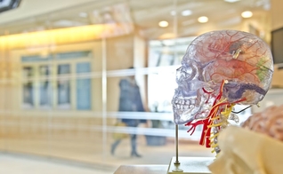 Elon Musk anuncia aprovação para implante de chip cerebral em humanos. (Foto: Unsplash/Jesse Orrico)