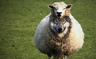 O sucesso dos falsos profetas no Antigo Testamento deveu-se ao fato de que profetizavam o que o povo rebelde e mundano desejava ouvir.