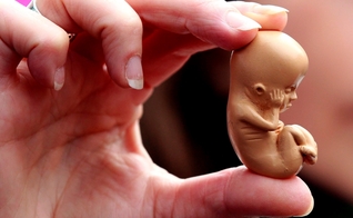 O número anual de abortos aumentou de 50 milhões por ano entre 1990-1994 para 56 milhões por ano entre 2010-2014, de acordo com cientistas. (Foto: LifeSite)