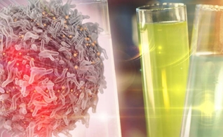 Pesquisa de imunoterapia de câncer com célula e tubo de ensaio. (Foto: Shutterstock)
