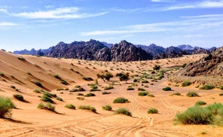 Deserto do Egito. (Foto: Rabah al-Shammary / Unsplash)
