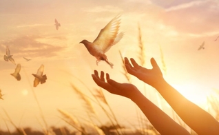 (Foto: Reprodução/Shutterstock)