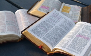 (Foto: Reprodução/Bridgeport)