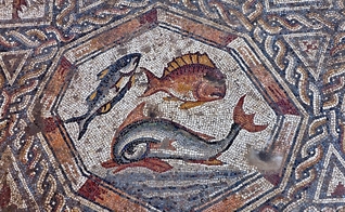 Parte do mosaico de 1.700 anos da era romana descoberto em Israel. (Foto: Assaf Peretz/ Autoridade de Antiguidades de Israel).