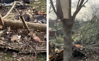 Bíblia encontrada em árvore: intacta após tornado. (Foto: Reprodução/Big Cee O’Neal)