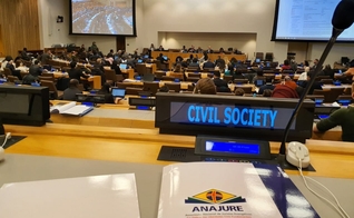 ANAJURE na Sessão Anual do Comitê da Organização das Nações Unidas (ONU) sobre ONGs em janeiro de 2020. (Foto: Assessoria de imprensa da ANAJURE)