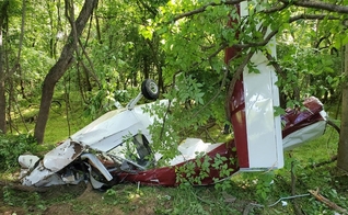Avião destruído após queda em mata; piloto sobreviveu. (Foto: Reprodução/Facebook)