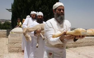 Os sacerdotes judeus trazem a oferta de Omer em preparação para o Terceiro Templo. (Foto: Reprodução/Adam Propp)