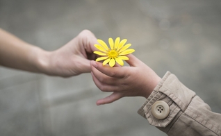 (Foto: iStock)