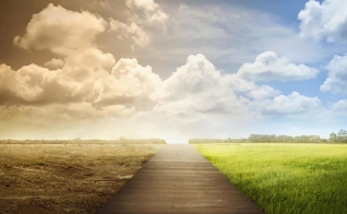 (Foto: iStock)