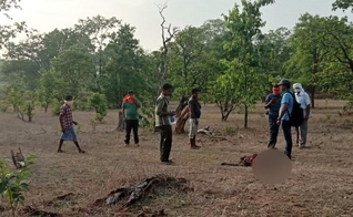 O corpo de Bajjo Bai Mandavi foi encontrado no deserto quatro dias depois que ela foi buscar lenha. (Foto: Reprodução / Morning Star News)