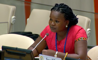 Ann Kioko lançou recentemente uma campanha contra o projeto de lei. (Foto: Reprodução / WebTV)