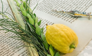 (Foto: Beth Shalom NB)