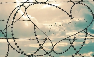 (Foto: Crosswalk)