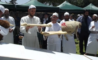 Kohanim (sacerdotes / descendentes do primeiro Sumo Sacerdote Aarão), realizam uma reconstituição da cerimônia do Templo em Shavuot (Festa das Semanas). (Foto: Adam Eliyahu Berkowitz)