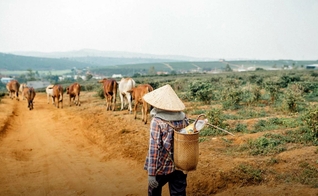 Família vietnamita é expulsa da vila onde vive e perde casa, gado e todos os seus pertences por serem cristãos. (Foto representativa: Portas Abertas)