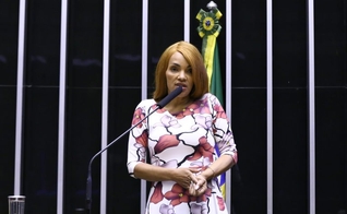 Flordelis se defendeu das acusações durante discurso em Plenário. (Foto: Reprodução / Agência Câmara de Notícias)