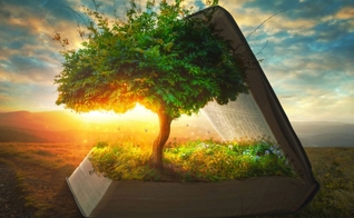 Árvore dentro da Bíblia. (Foto: Pinterest)