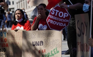 Manifestação do grupo pró-vida em frente ao Congresso dos Deputados. (Foto: Reprodução / José Ramón Ladra)