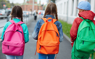 Outras duas matérias com a mesma proposta de proibição da linguagem neutra tramitam na casa. (Foto: Reprodução / Canva)