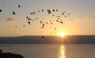 Mar da Galileia, Israel. (Foto: BRBurton23 / Pixabay)