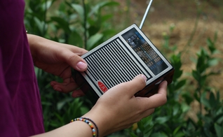 Ouvindo rádio. (Foto Ilustrativa: Israel Ali/Unsplash)
