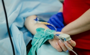 Eutanásia foi aprovada em todos os Estados da Autrália. (Foto representativa: Olga Kononenko/Unsplash)