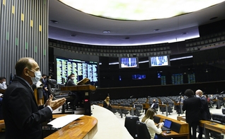 A Câmara dos Deputados aprovou o texto-base do projeto de lei que permite o ensino domiciliar. (Foto: Marcos Oliveira/Agência Senado).