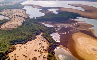 Paisagem de Al Wathba. (Departamento de Cultura e Turismo - Abu Dhabi)