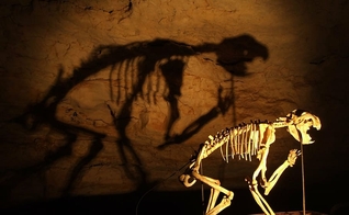 Esqueleto de dinossauro (Foto: Piqsels)