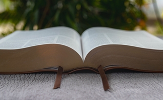 (Foto: Oscar Ivan Esquivel Arteaga/Unsplash)
