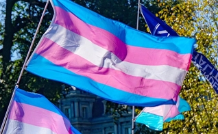 Bandeira transgênero. (Foto: Ted Eytan/Creative Commons)